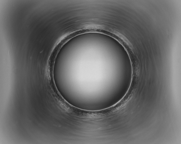X0000116131022200911301343