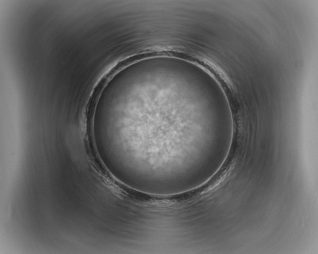 X0000116131023200911301343