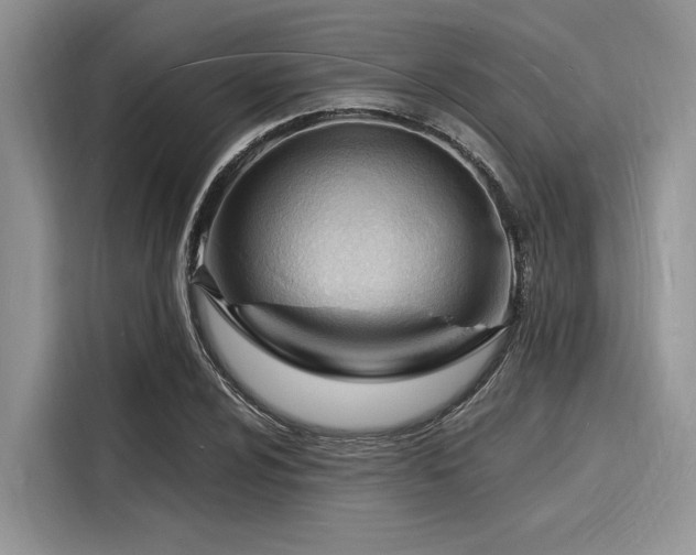 X0000116131024200911301343