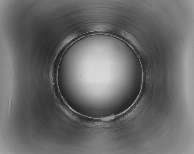 X0000116131026200911301343
