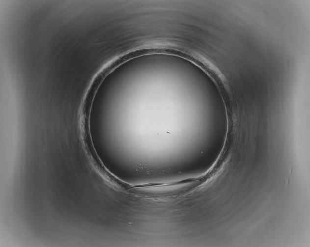 X0000116131029200911301343
