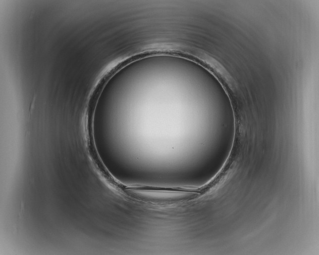 X0000116131030200911301343