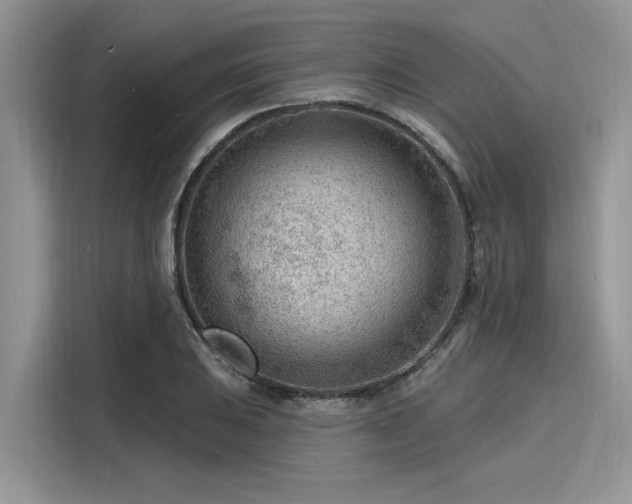X0000116131031200911301343