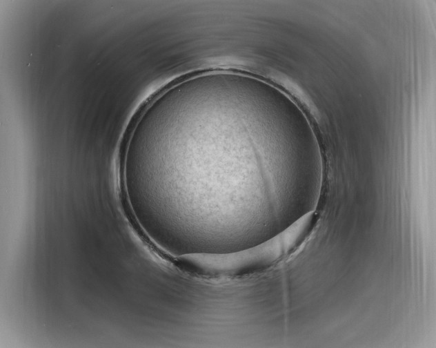 X0000116131032200911301343