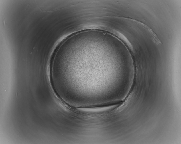 X0000116131035200911301343