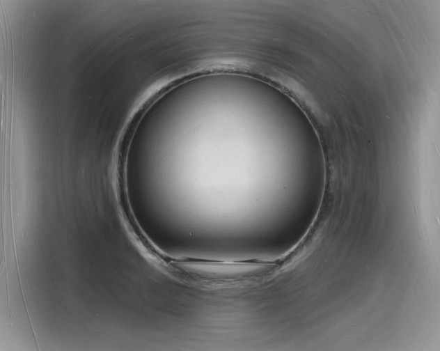 X0000116131038200911301343
