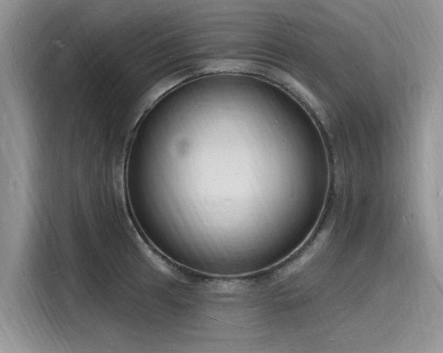 X0000116131041200911301343