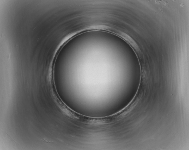 X0000116131044200911301343