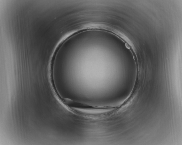 X0000116131045200911301343