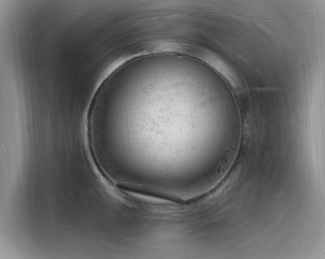 X0000116131047200911301343
