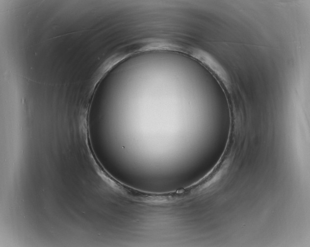 X0000116131049200911301343