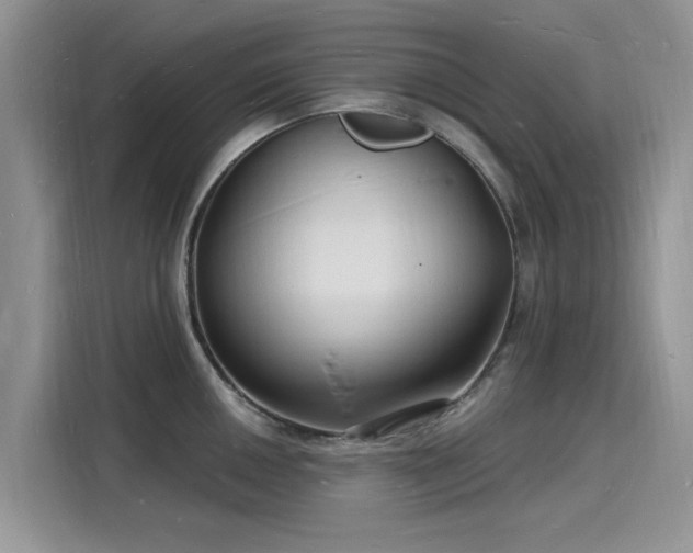 X0000116131050200911301343