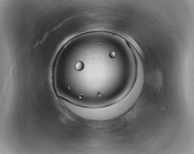X0000116131051200911301343