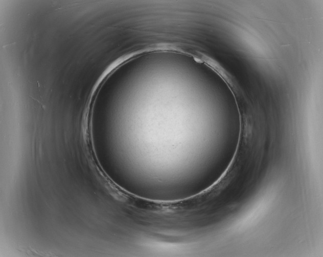 X0000116131052200911301343