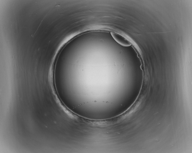 X0000116131053200911301343