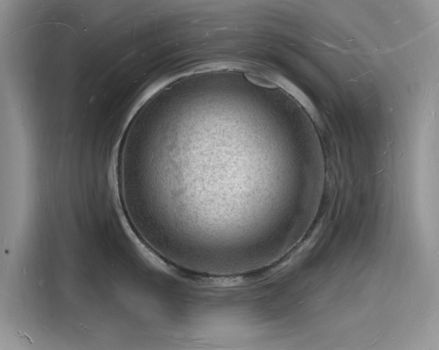 X0000116131055200911301343