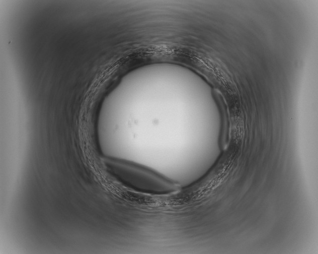X0000116131057200911301342