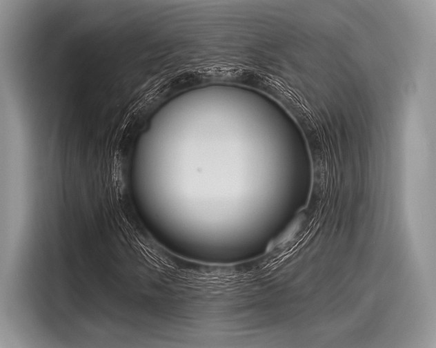 X0000116131058200911301342