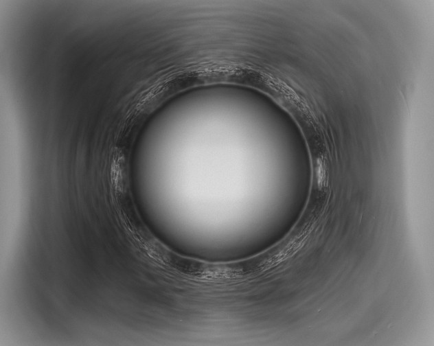 X0000116131059200911301342