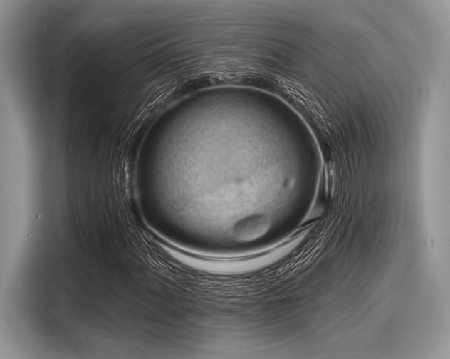 X0000116131060200911301342