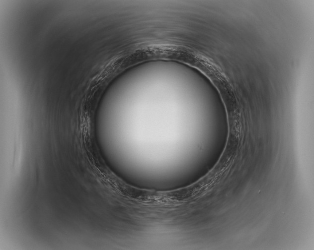 X0000116131061200911301342