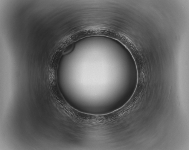 X0000116131062200911301342