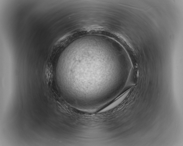 X0000116131063200911301342