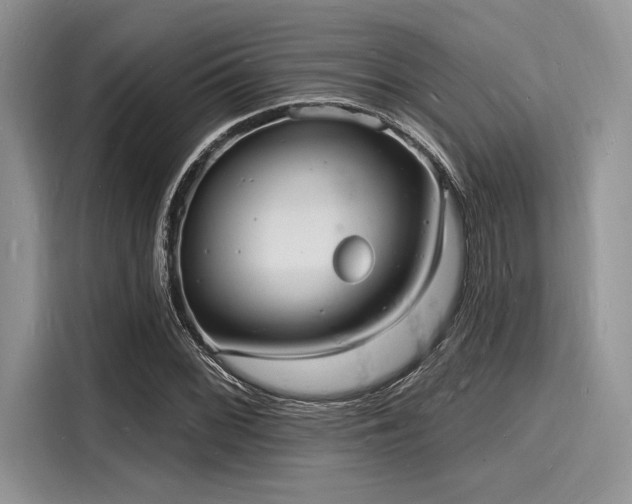 X0000116131068200911301342