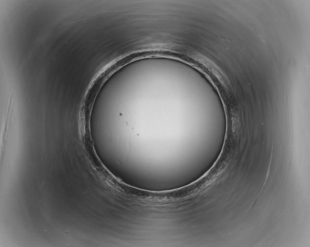 X0000116131069200911301342
