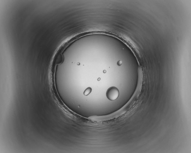 X0000116131072200911301342