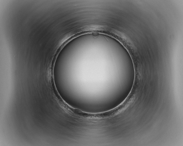 X0000116131073200911301342