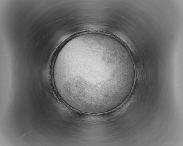 X0000116131074200911301342