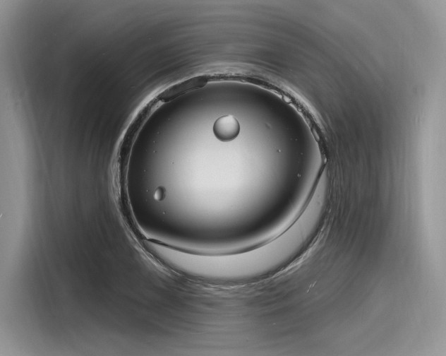 X0000116131075200911301342
