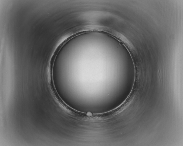 X0000116131079200911301342