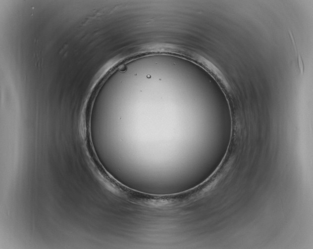 X0000116131082200911301342