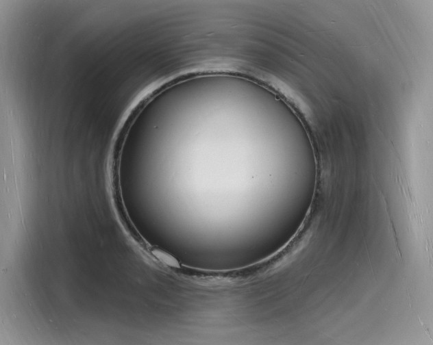 X0000116131085200911301342