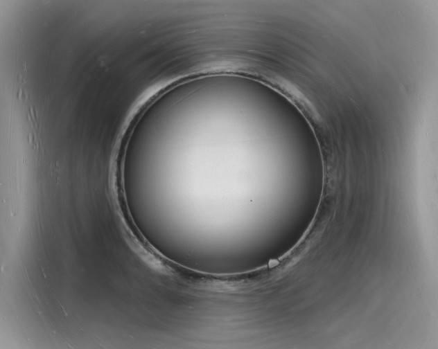 X0000116131086200911301342