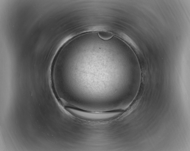 X0000116131087200911301342