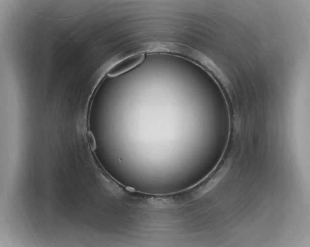 X0000116131089200911301342
