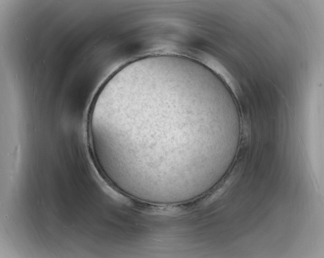 X0000116131090200911301342