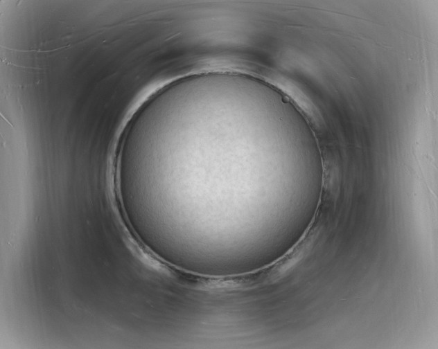 X0000116131094200911301342