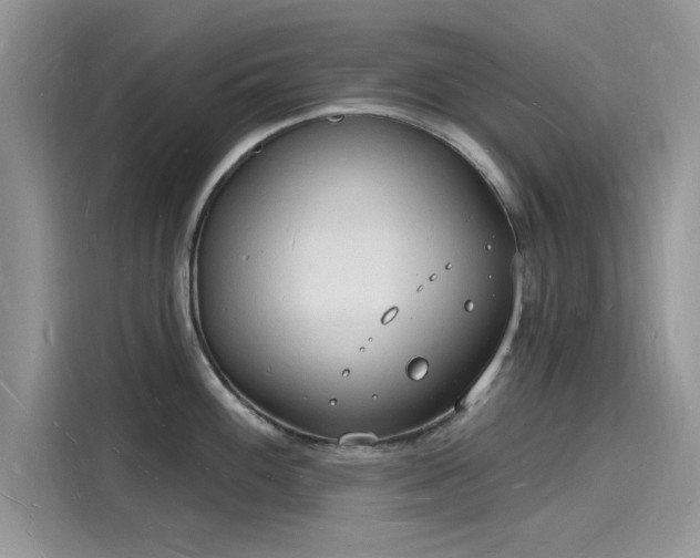 X0000116131100200911301342