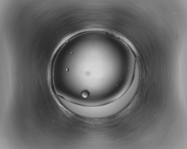 X0000116131101200911301342