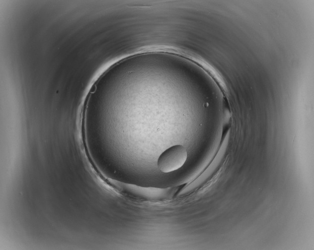 X0000116131102200911301342