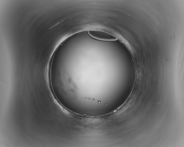 X0000116131103200911301342