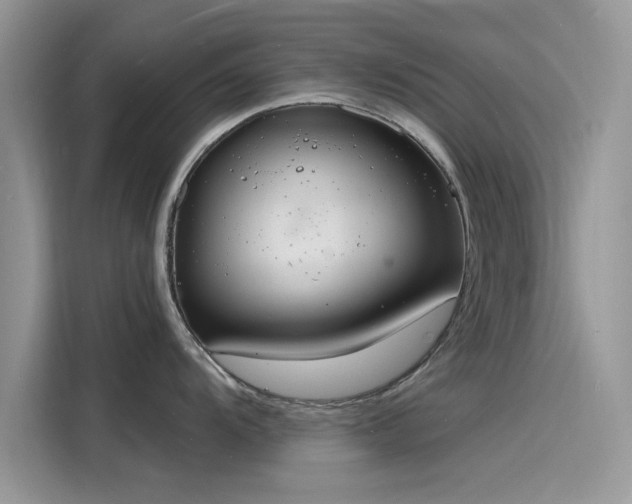 X0000116131104200911301342