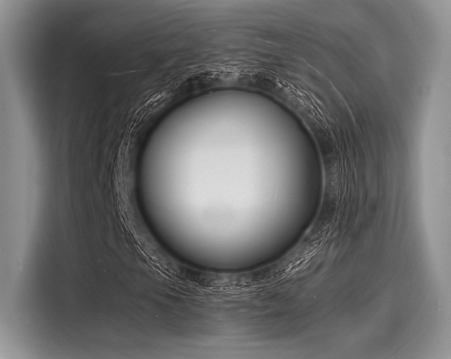 X0000116131105200911301341