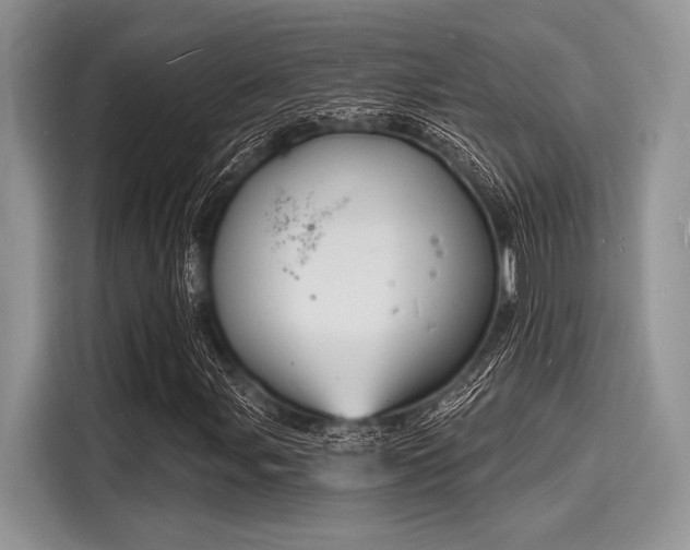 X0000116131107200911301341