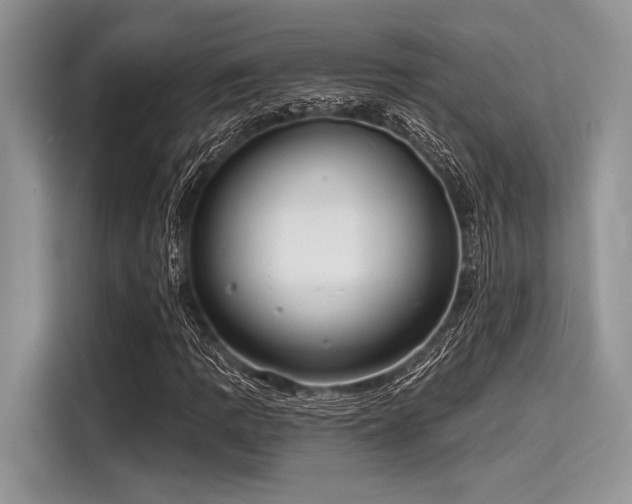 X0000116131109200911301341