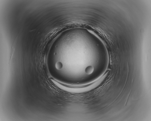 X0000116131110200911301341